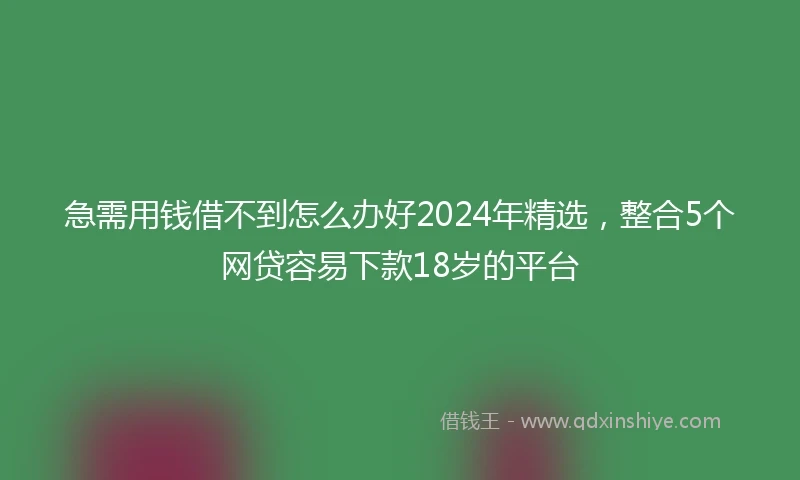 急需用钱借不到怎么办好2024年精选，整合5个网贷容易下款18岁的平台