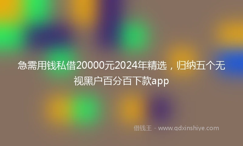 急需用钱私借20000元2024年精选，归纳五个无视黑户百分百下款app