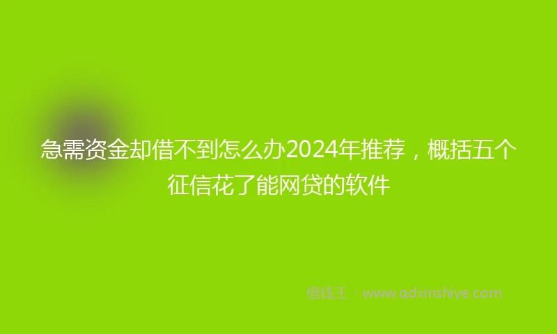 急需资金却借不到怎么办2024年推荐，概括五个征信花了能网贷的软件