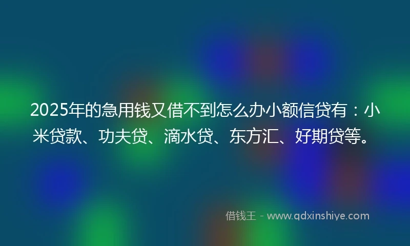 2025年的急用钱又借不到怎么办小额信贷有：小米贷款、功夫贷、滴水贷、东方汇、好期贷等。