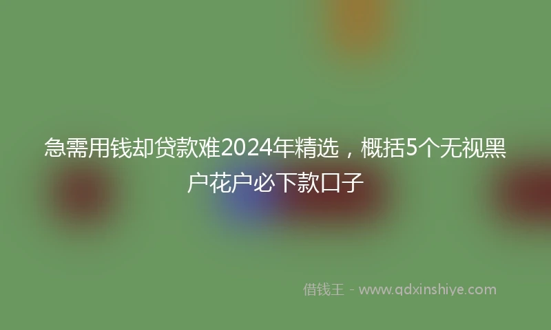 急需用钱却贷款难2024年精选，概括5个无视黑户花户必下款口子