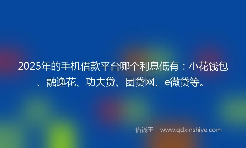 2025年的手机借款平台哪个利息低有：小花钱包、融逸花、功夫贷、团贷网、e微贷等。