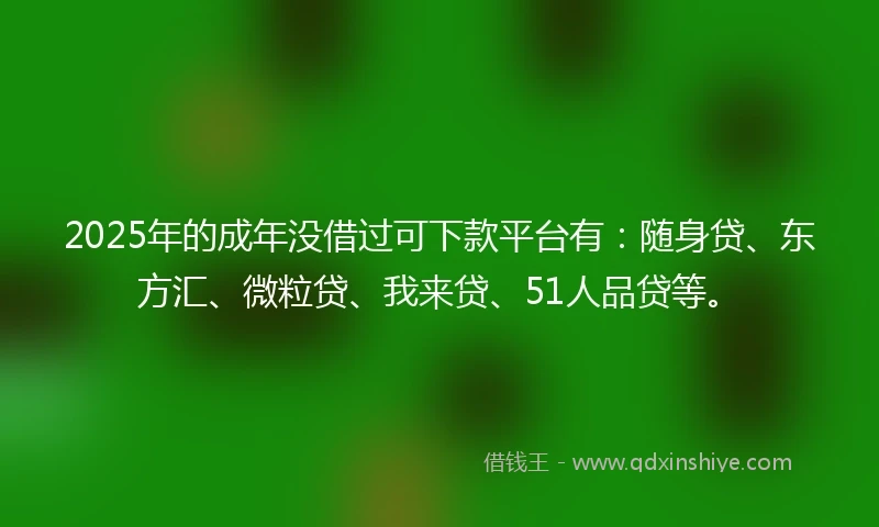 2025年的成年没借过可下款平台有：随身贷、东方汇、微粒贷、我来贷、51人品贷等。
