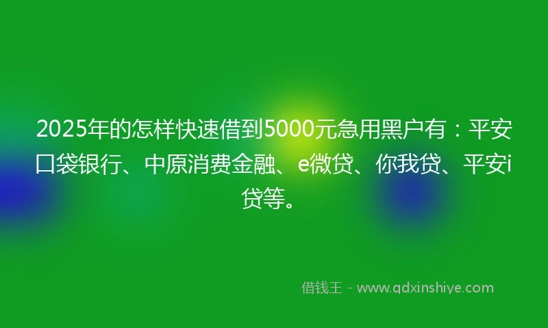 2025年的怎样快速借到5000元急用黑户有：平安口袋银行、中原消费金融、e微贷、你我贷、平安i贷等。