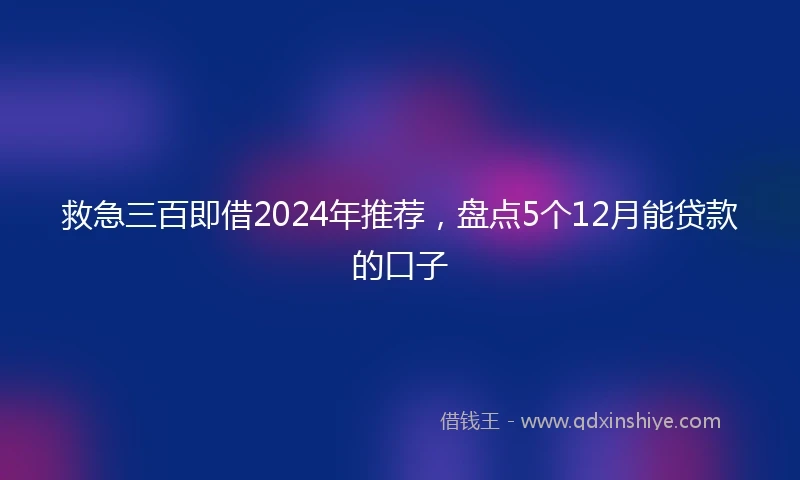 救急三百即借2024年推荐，盘点5个12月能贷款的口子