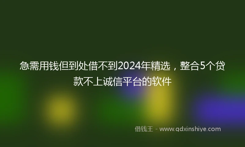 急需用钱但到处借不到2024年精选，整合5个贷款不上诚信平台的软件