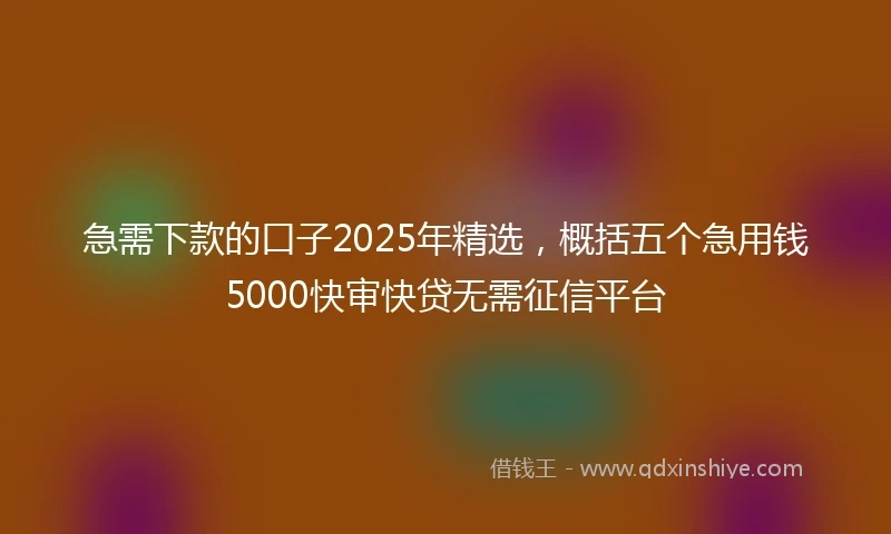 急需下款的口子2025年精选，概括五个急用钱5000快审快贷无需征信平台
