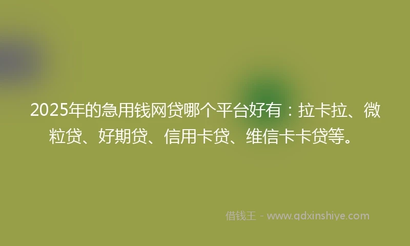 2025年的急用钱网贷哪个平台好有：拉卡拉、微粒贷、好期贷、信用卡贷、维信卡卡贷等。