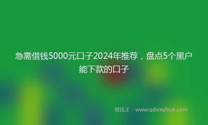 急需借钱5000元口子2024年推荐，盘点5个黑户能下款的口子