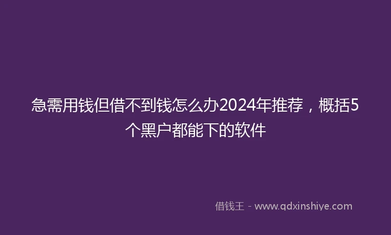 急需用钱但借不到钱怎么办2024年推荐，概括5个黑户都能下的软件