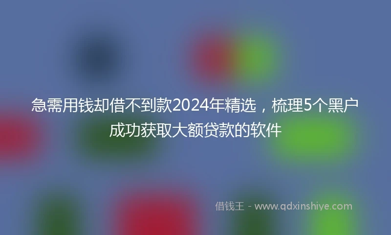 急需用钱却借不到款2024年精选，梳理5个黑户成功获取大额贷款的软件