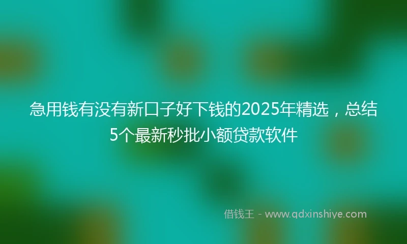 急用钱有没有新口子好下钱的2025年精选，总结5个最新秒批小额贷款软件