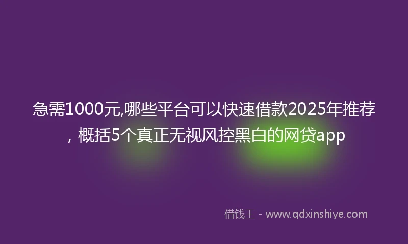 急需1000元,哪些平台可以快速借款2025年推荐，概括5个真正无视风控黑白的网贷app