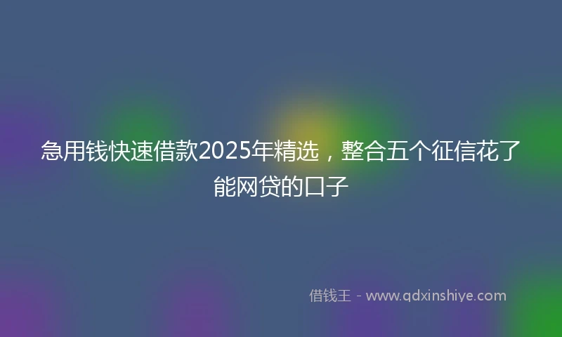 急用钱快速借款2025年精选，整合五个征信花了能网贷的口子