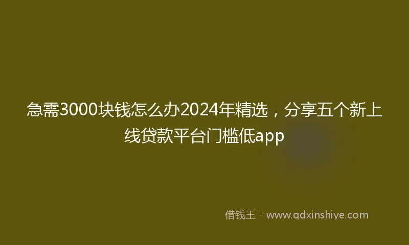 急需3000块钱怎么办2024年精选，分享五个新上线贷款平台门槛低app