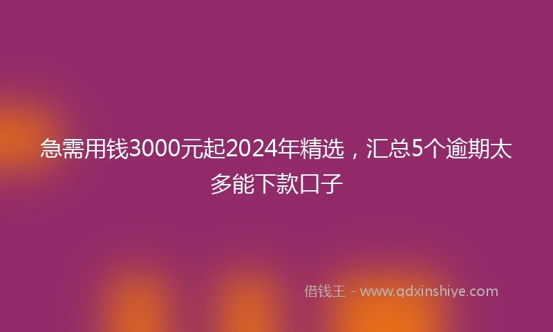急需用钱3000元起2024年精选，汇总5个逾期太多能下款口子