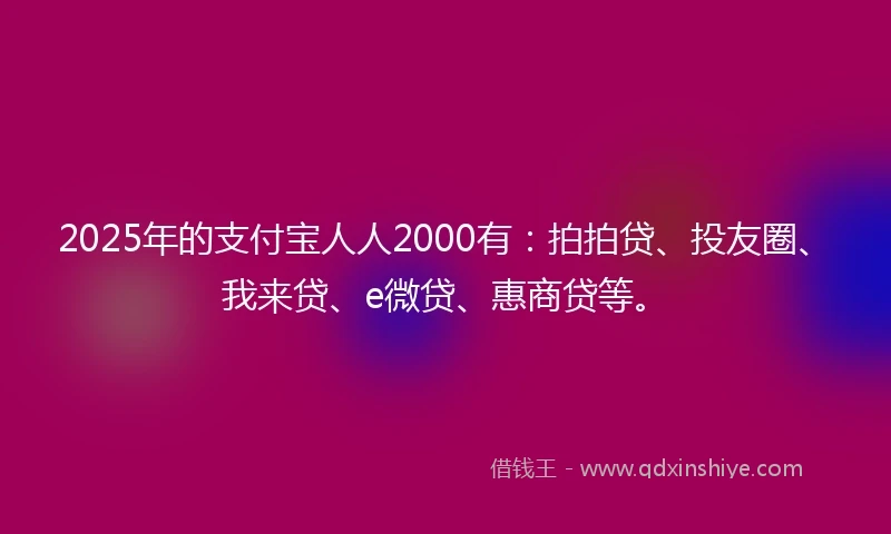 2025年的支付宝人人2000有：拍拍贷、投友圈、我来贷、e微贷、惠商贷等。
