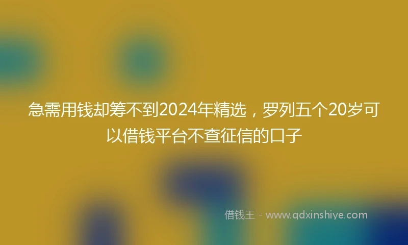 急需用钱却筹不到2024年精选，罗列五个20岁可以借钱平台不查征信的口子