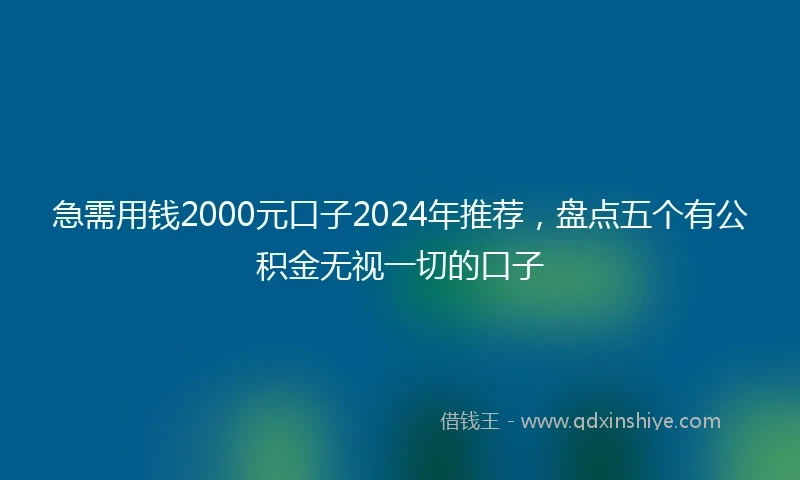 急需用钱2000元口子2024年推荐，盘点五个有公积金无视一切的口子