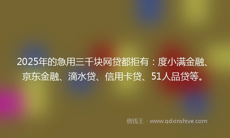 2025年的急用三千块网贷都拒有：度小满金融、京东金融、滴水贷、信用卡贷、51人品贷等。