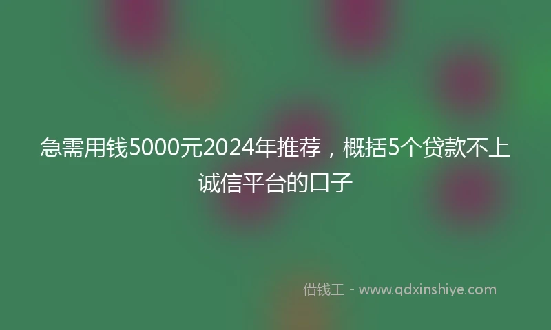 急需用钱5000元2024年推荐，概括5个贷款不上诚信平台的口子