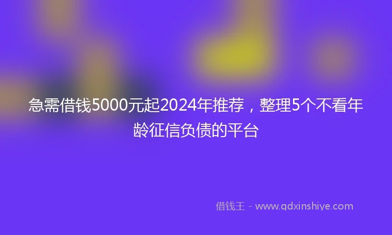 急需借钱5000元起2024年推荐，整理5个不看年龄征信负债的平台
