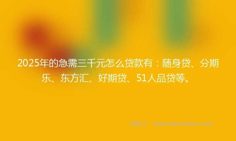 2025年的急需三千元怎么贷款有：随身贷、分期乐、东方汇、好期贷、51人品贷等。
