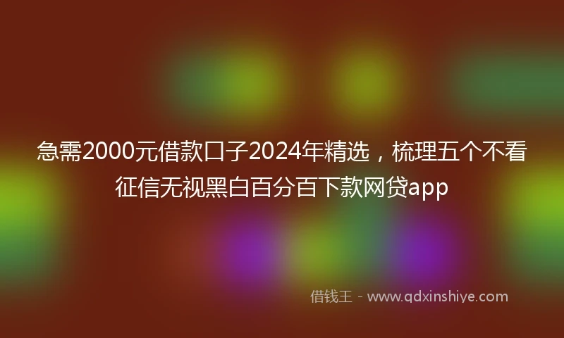 急需2000元借款口子2024年精选，梳理五个不看征信无视黑白百分百下款网贷app