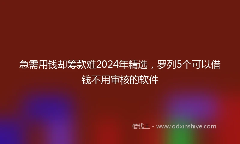 急需用钱却筹款难2024年精选，罗列5个可以借钱不用审核的软件