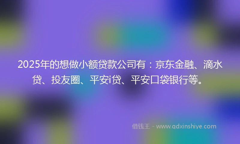 2025年的想做小额贷款公司有：京东金融、滴水贷、投友圈、平安i贷、平安口袋银行等。