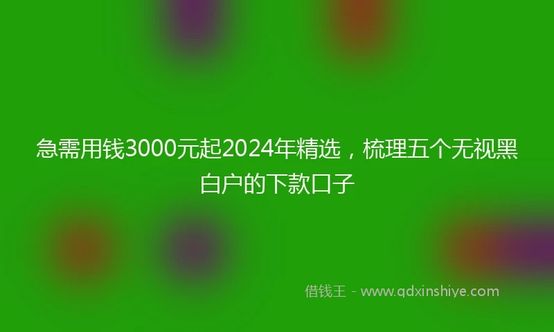 急需用钱3000元起2024年精选，梳理五个无视黑白户的下款口子