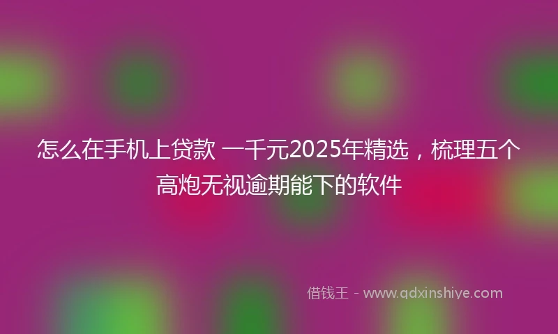 怎么在手机上贷款 一千元2025年精选，梳理五个高炮无视逾期能下的软件