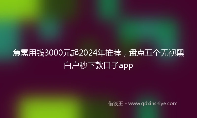 急需用钱3000元起2024年推荐，盘点五个无视黑白户秒下款口子app