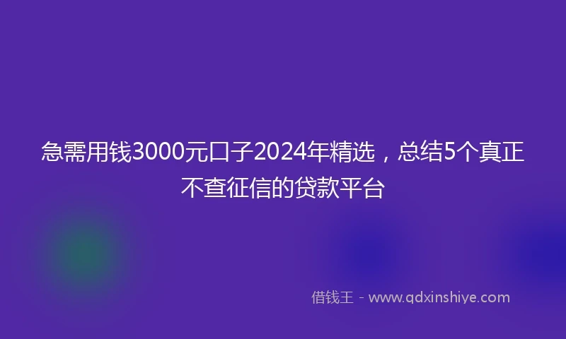 急需用钱3000元口子2024年精选，总结5个真正不查征信的贷款平台