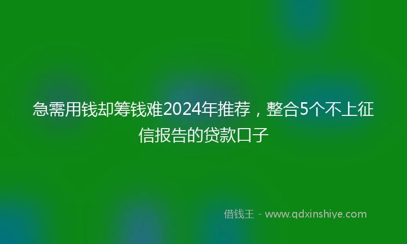 急需用钱却筹钱难2024年推荐，整合5个不上征信报告的贷款口子