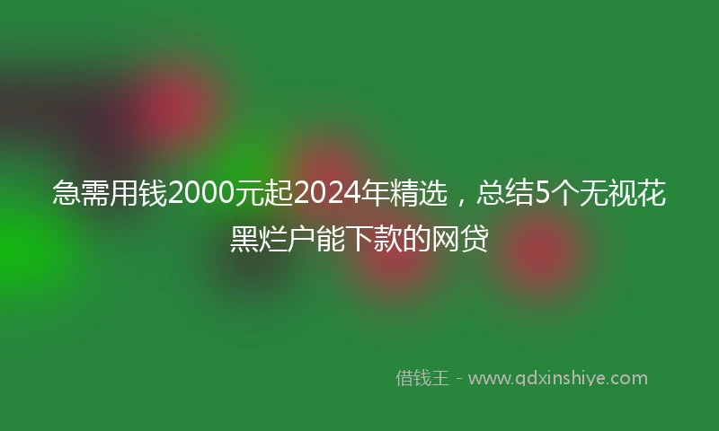 急需用钱2000元起2024年精选，总结5个无视花黑烂户能下款的网贷