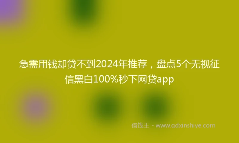 急需用钱却贷不到2024年推荐，盘点5个无视征信黑白100%秒下网贷app