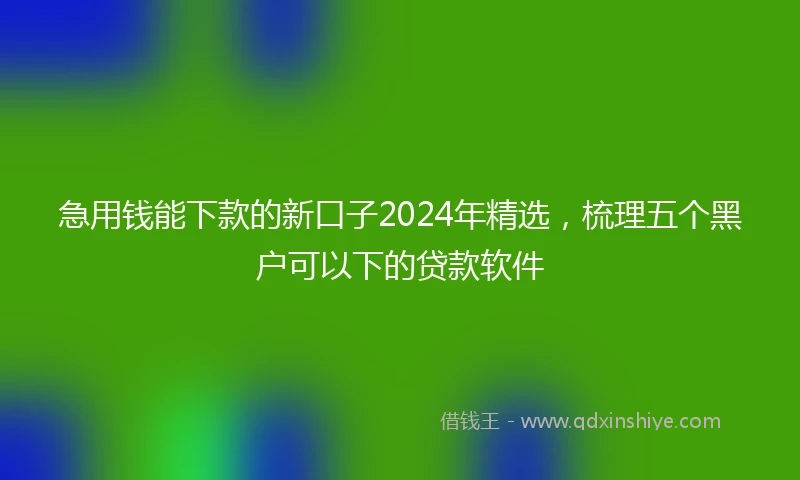 急用钱能下款的新口子2024年精选，梳理五个黑户可以下的贷款软件