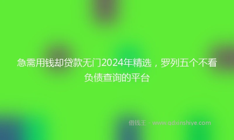 急需用钱却贷款无门2024年精选，罗列五个不看负债查询的平台