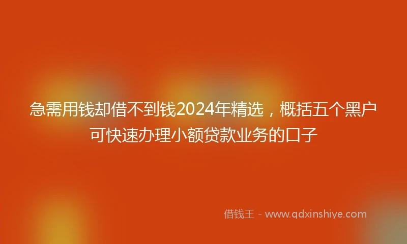 急需用钱却借不到钱2024年精选，概括五个黑户可快速办理小额贷款业务的口子