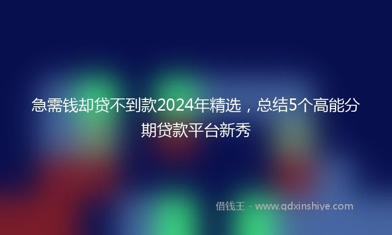 急需钱却贷不到款2024年精选，总结5个高能分期贷款平台新秀