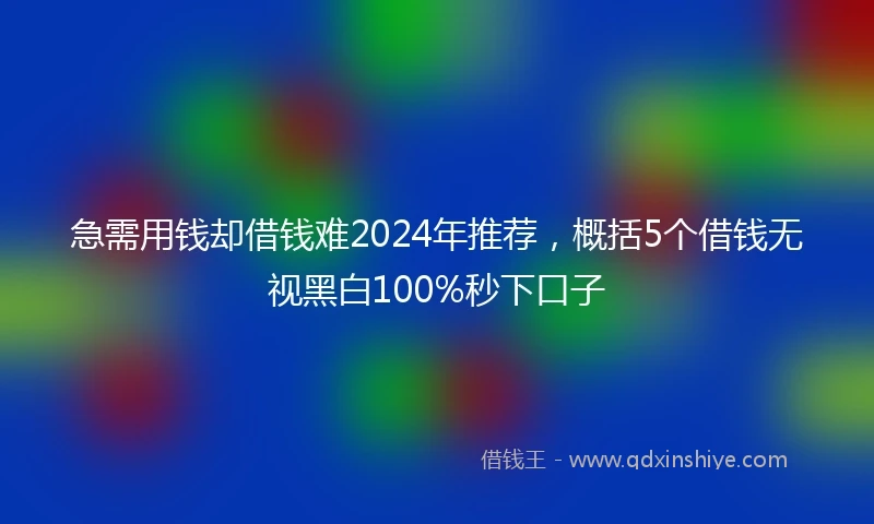 急需用钱却借钱难2024年推荐，概括5个借钱无视黑白100%秒下口子