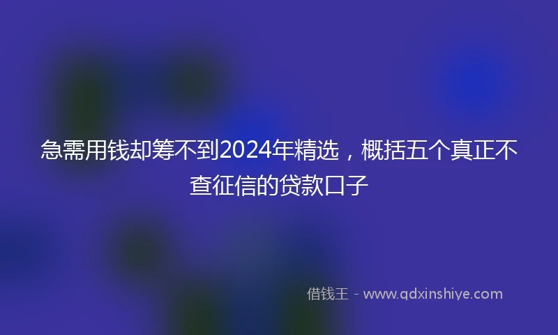 急需用钱却筹不到2024年精选，概括五个真正不查征信的贷款口子