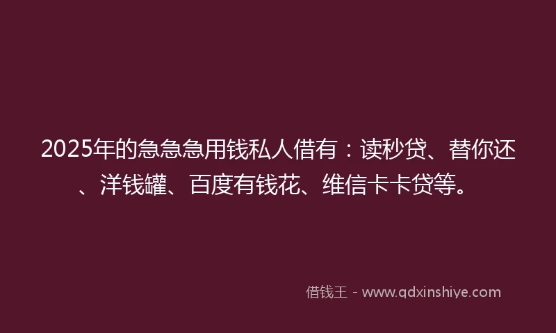 2025年的急急急用钱私人借有：读秒贷、替你还、洋钱罐、百度有钱花、维信卡卡贷等。