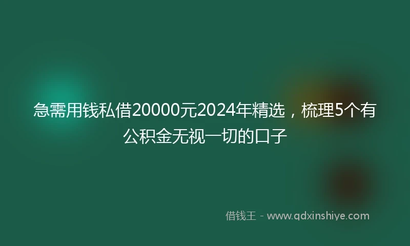 急需用钱私借20000元2024年精选，梳理5个有公积金无视一切的口子