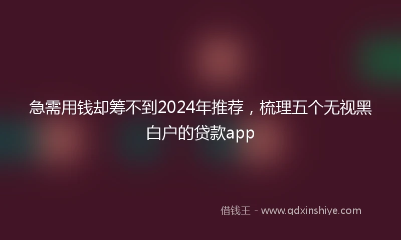 急需用钱却筹不到2024年推荐，梳理五个无视黑白户的贷款app