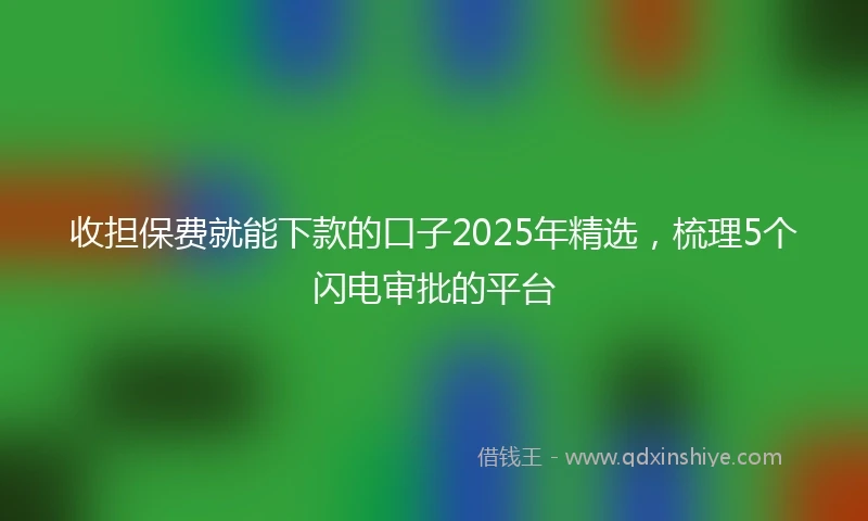 收担保费就能下款的口子2025年精选，梳理5个闪电审批的平台