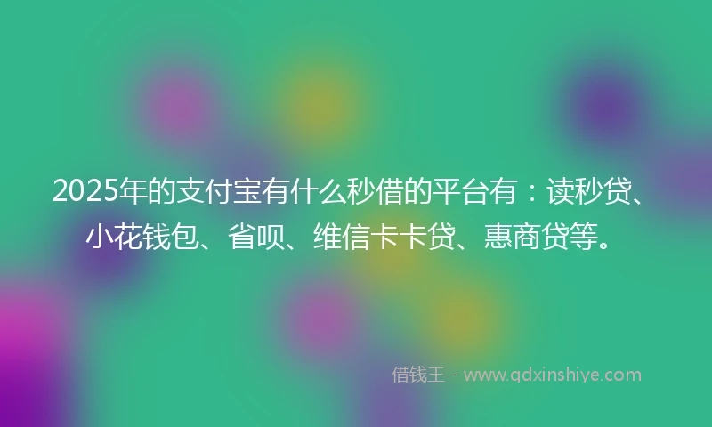 2025年的支付宝有什么秒借的平台有：读秒贷、小花钱包、省呗、维信卡卡贷、惠商贷等。
