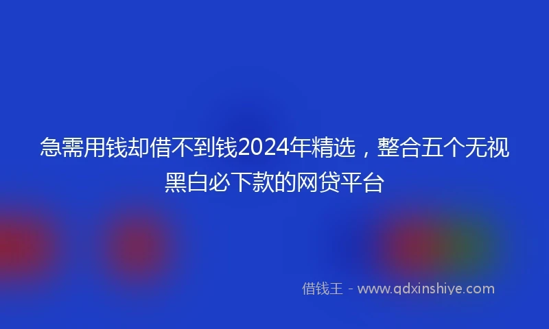急需用钱却借不到钱2024年精选，整合五个无视黑白必下款的网贷平台