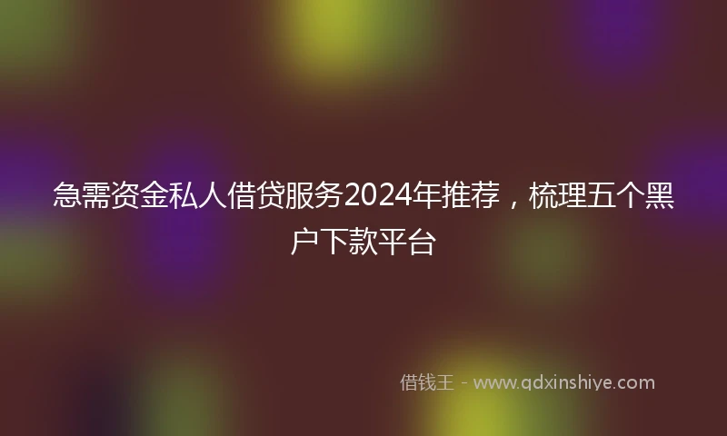 急需资金私人借贷服务2024年推荐，梳理五个黑户下款平台